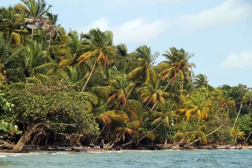 Luba, Equatorial Guinea